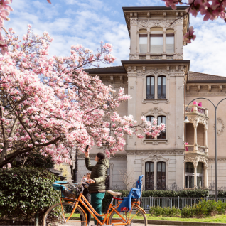 March in Milano: you shouldn't miss the blossom in piazza Tommaseo. Pic by Anna della Badia