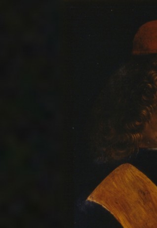 Pinacoteca Ambrosiana: Portrait of a Musician