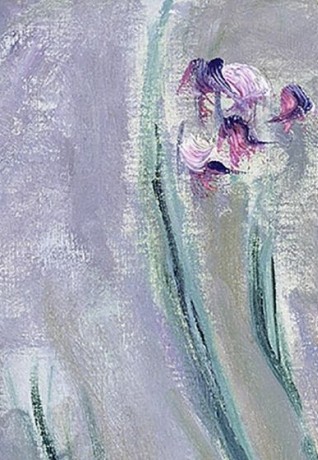 Claude Monet, Iris (particolare)