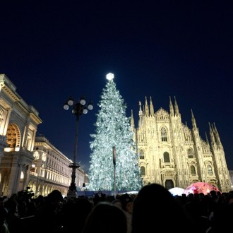 Il Natale degli Alberi 2024